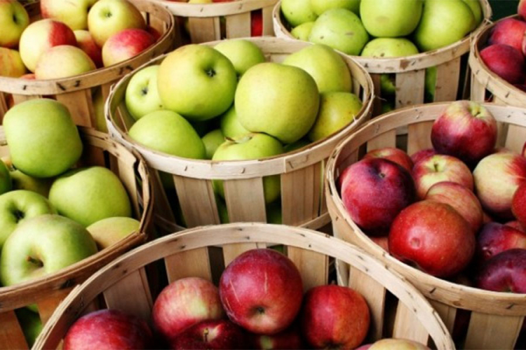 Šarović: U izradi dokument o pooštravanju procedura za izvoz jabuka