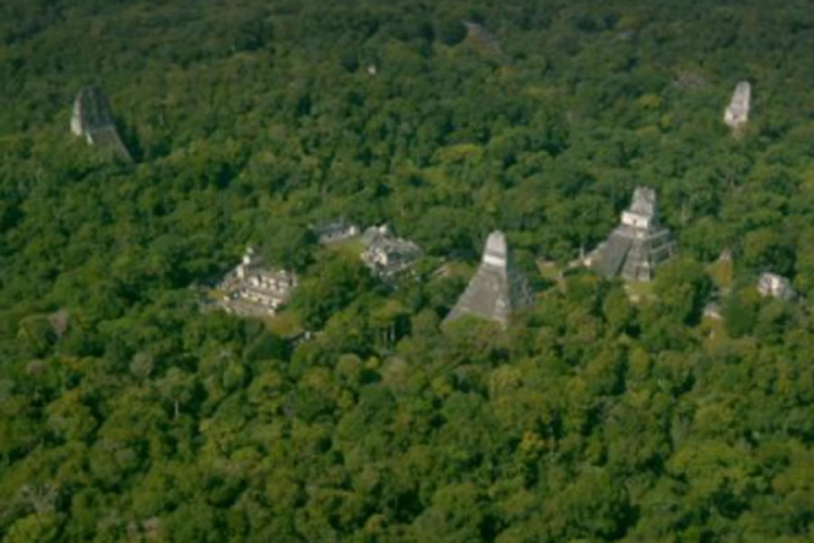 Ispod džungle u Gvatemali pronađeno 60.000 građevina Maja