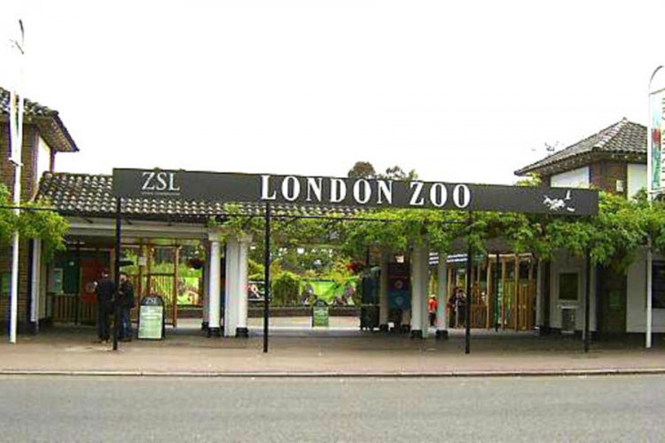 Londonski zoo-vrt prebrojao svoje stanovnike
