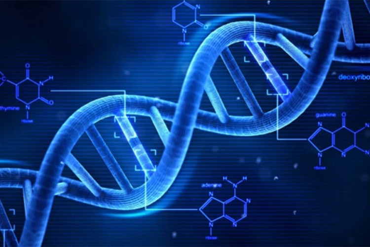 Revolucionarno otkriće u forenzici: Geni otkrivaju vrijeme smrti