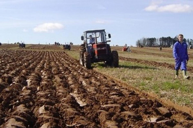 Poljoprivredni proizvođači nezadovoljni pravilnikom o podsticajima