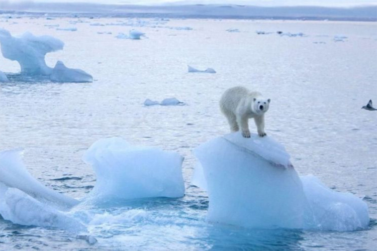 Naučnici zabrinuti, na Arktiku sve toplije