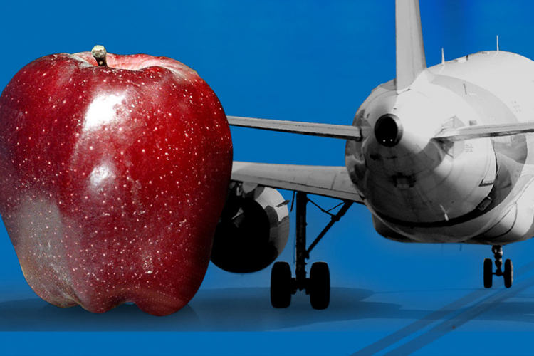 U avionu dobila jabuku, na aerodromu kaznu od 500 dolara