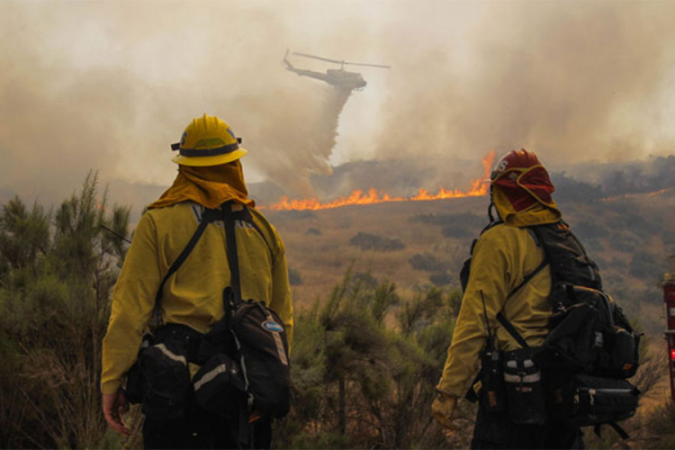 Bjesni šumski požar, evakuisano 700 kuća