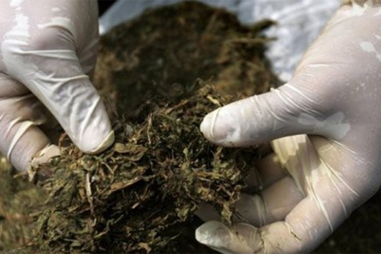 Vozačica iz BiH pokušala u Hrvatsku unijeti više od 10 kilograma marihuane