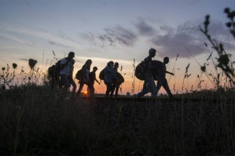 U Bijeljini pronađeno 147 ilegalnih migranata