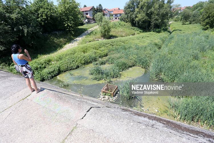 Mještani Petrićevca zbog smrada iz potoka razmišljaju o prodaji kuća