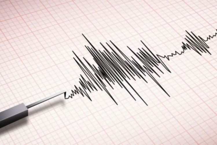 Snažan zemljotres potresao Indoneziju