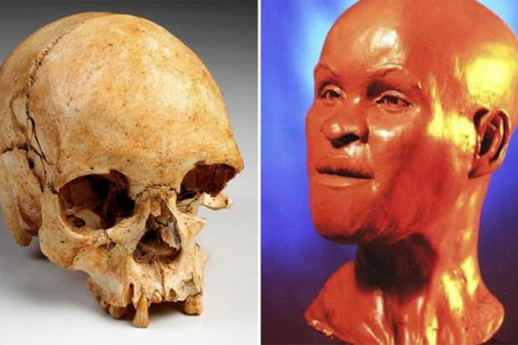 U uništenom muzeju pronađena lobanja stara 11.500 godina