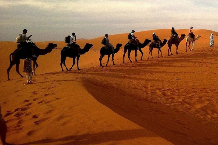 Naučnici pronašli način kako da Saharu učine plodnom