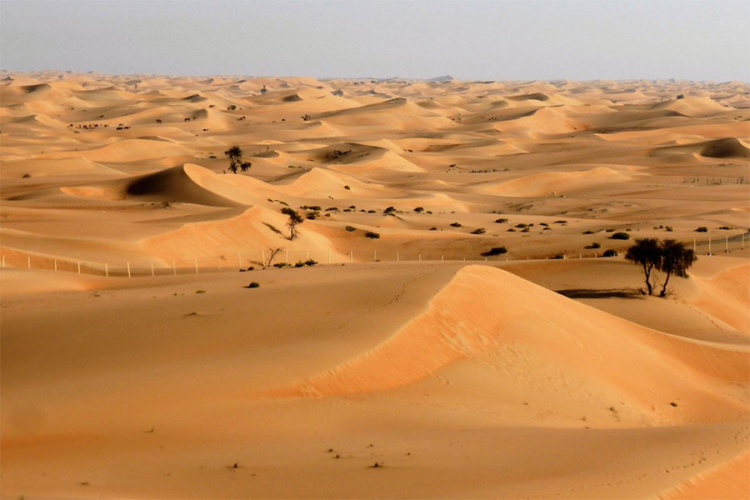 Naučnici: Sahara bi mogla ponovo postati plodna