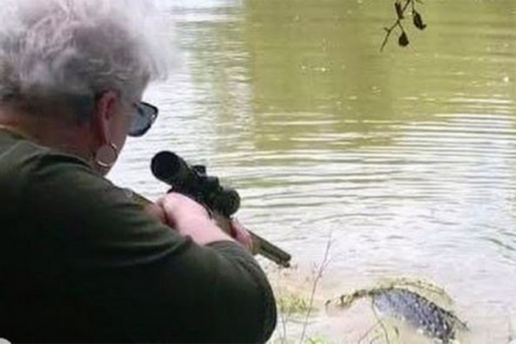 Baka ubila aligatora od 260 kila