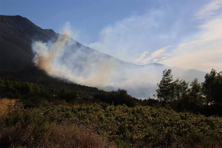 Zbog požara na Pelješcu evakuisano selo i dva autokampa