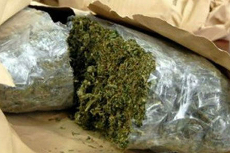 Zaplijenjeno oko 65 kilograma marihuane
