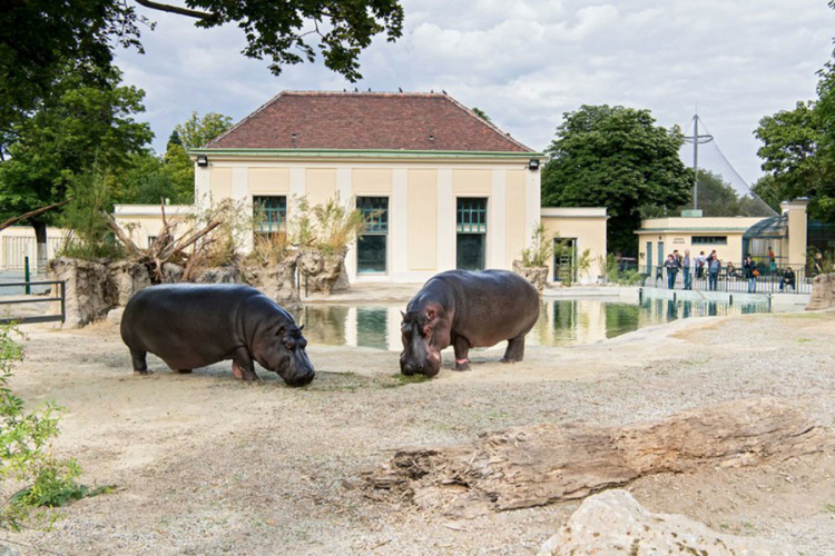 Bečki zoološki vrt opet najbolji u Evropi