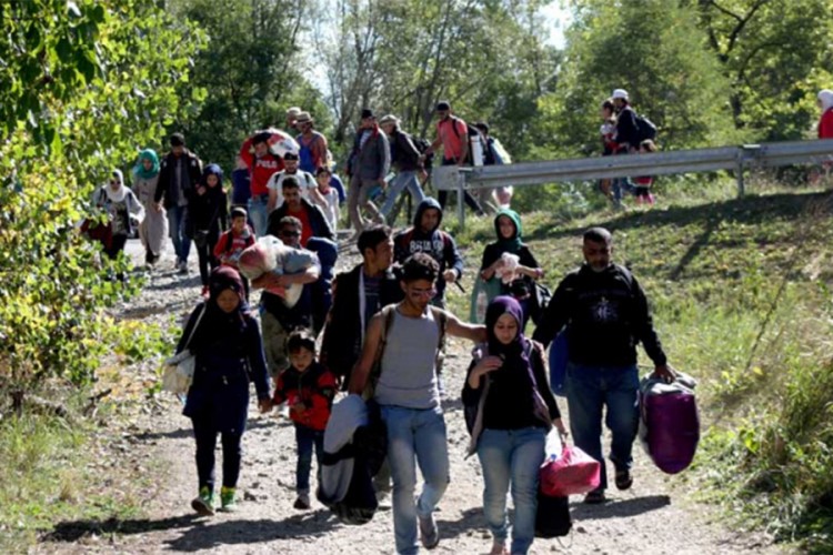 Galić: Nema dovoljno kapaciteta za smještaj migranata
