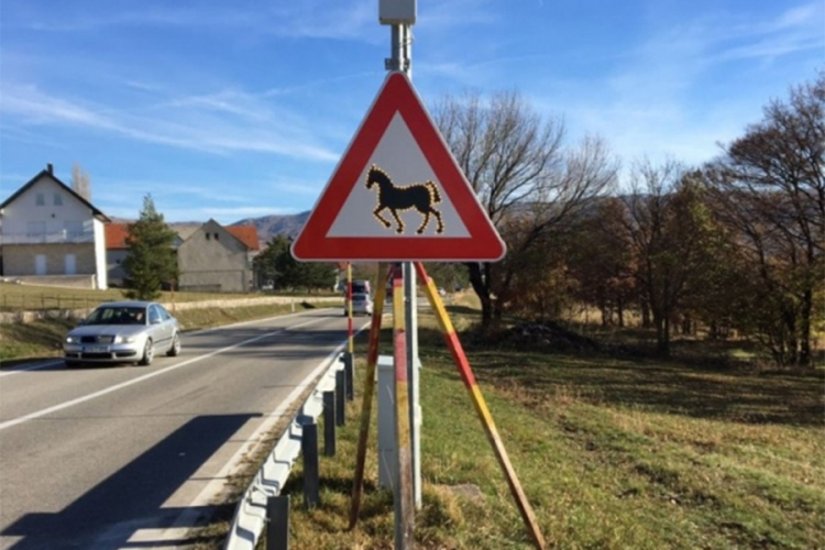 Postavljena signalizacija koja upozorava na prisutnost divljih konja