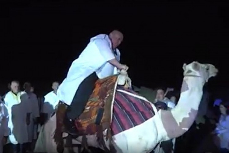 Palma u Egiptu uzjahao kamilu uz taktove "Bože pravde"