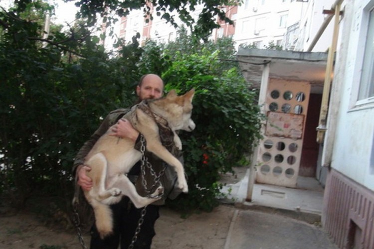 Rus živi s vukom u jednosobnom apartmanu