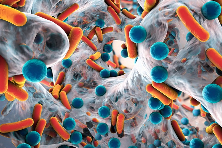 Nepoznata bakterija otporna na antibiotike pronađena u svemiru