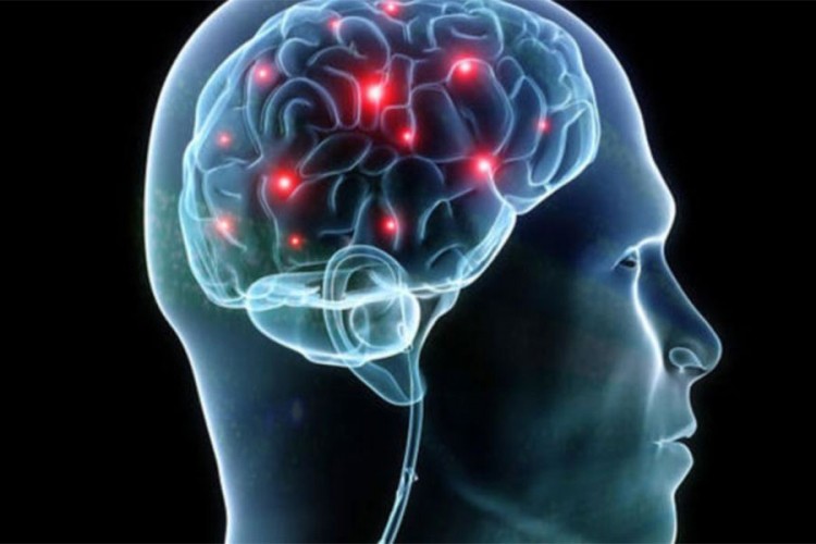 Naučnici tvrde: Pol potiče iz mozga, a ne od genitalija