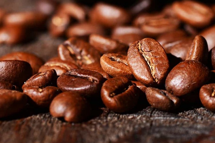 Izumiranje prijeti polovini vrsta divlje kafe