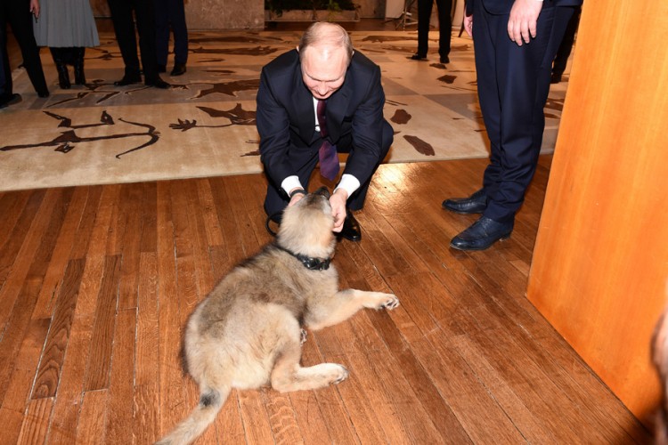Pogledajte kako je protekla Putinova posjeta Beogradu