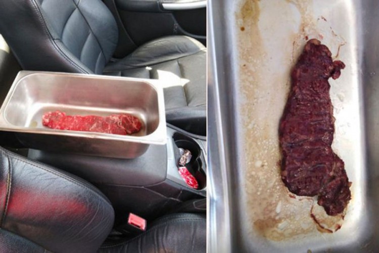 Australijanac ispekao komad mesa u automobilu