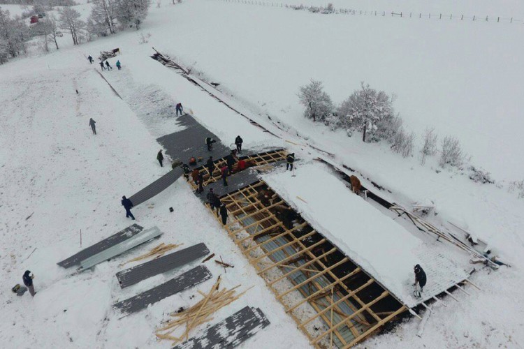 Snijeg srušio krov štale, stradalo sedam krava
