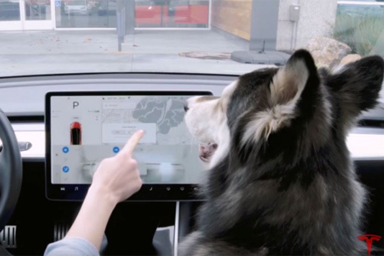 Tesla lansirao "pseći mod"