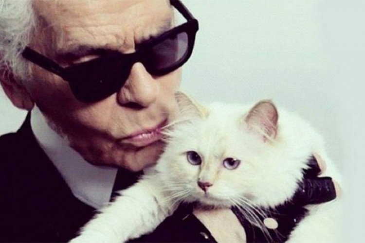 Mačka Karla Lagerfelda naslijediće dio bogatstva od 150 miliona funti