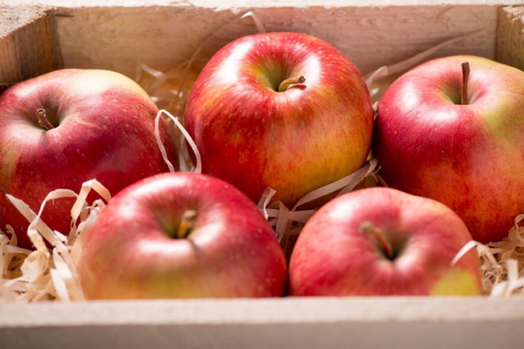 Uvozna jabuka u BiH skoro pa besplatna