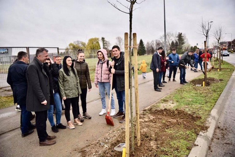 Zasađeno 114 stabala lipe u banjalučkom naselju Lazarevo