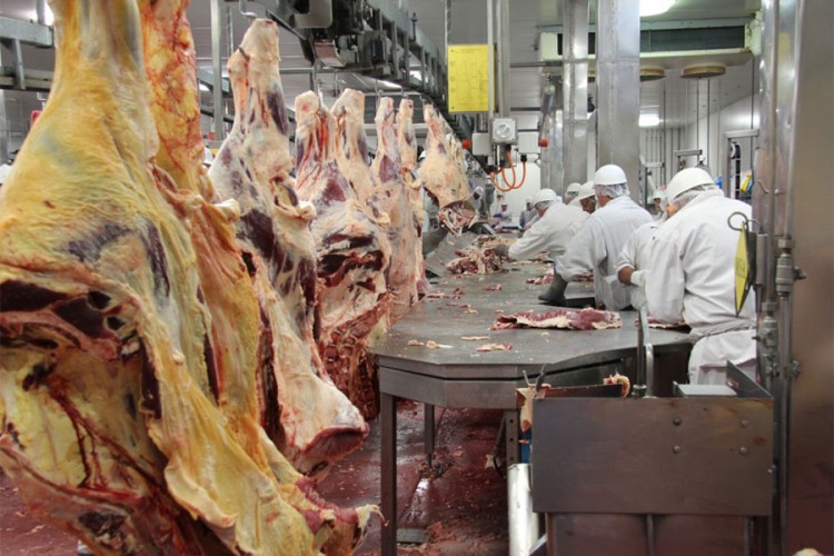 Brazilska govedina mogla bi prisjesti bh. stočarima