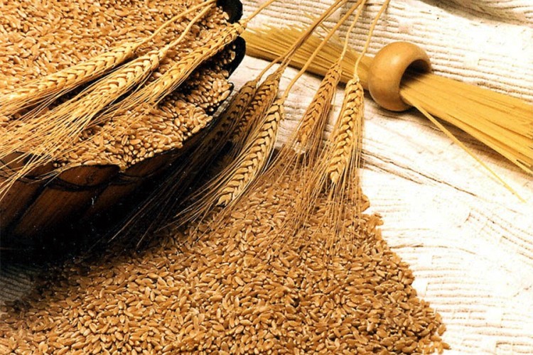 Cijena pšenice niska, troškovi visoki