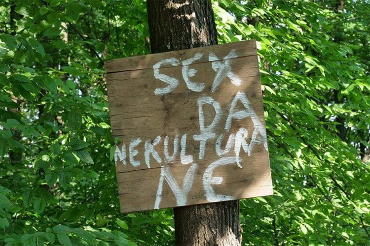 Grafit u šumarku iznad Viteza: Sex da, nekultura ne
