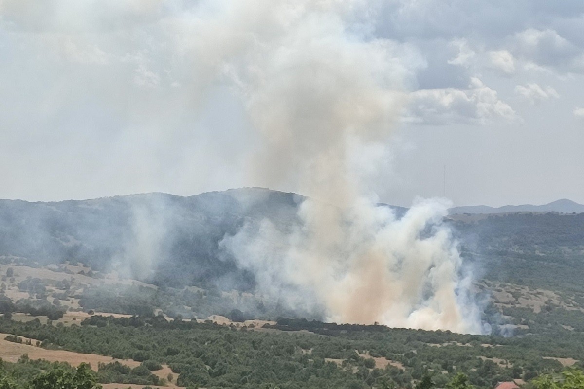 Požar izbio u bilećkom selu Vatrogasci odbijaju vatru od kuća FOTO