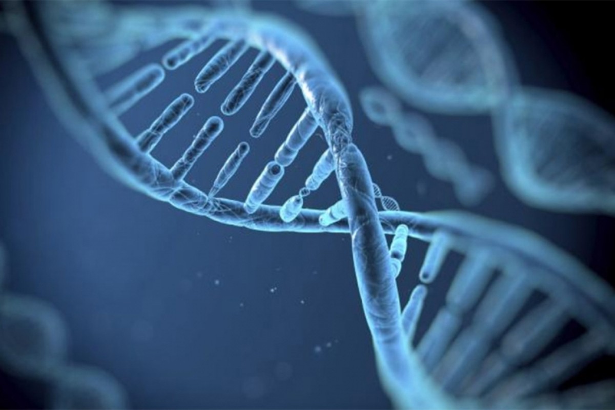 Da li DNK starih Evropljana otkriva porijeklo multiple skleroze?
