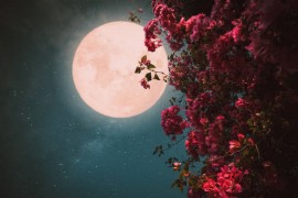 Tri znaka zodijaka na koje utiče "rozi mjesec"