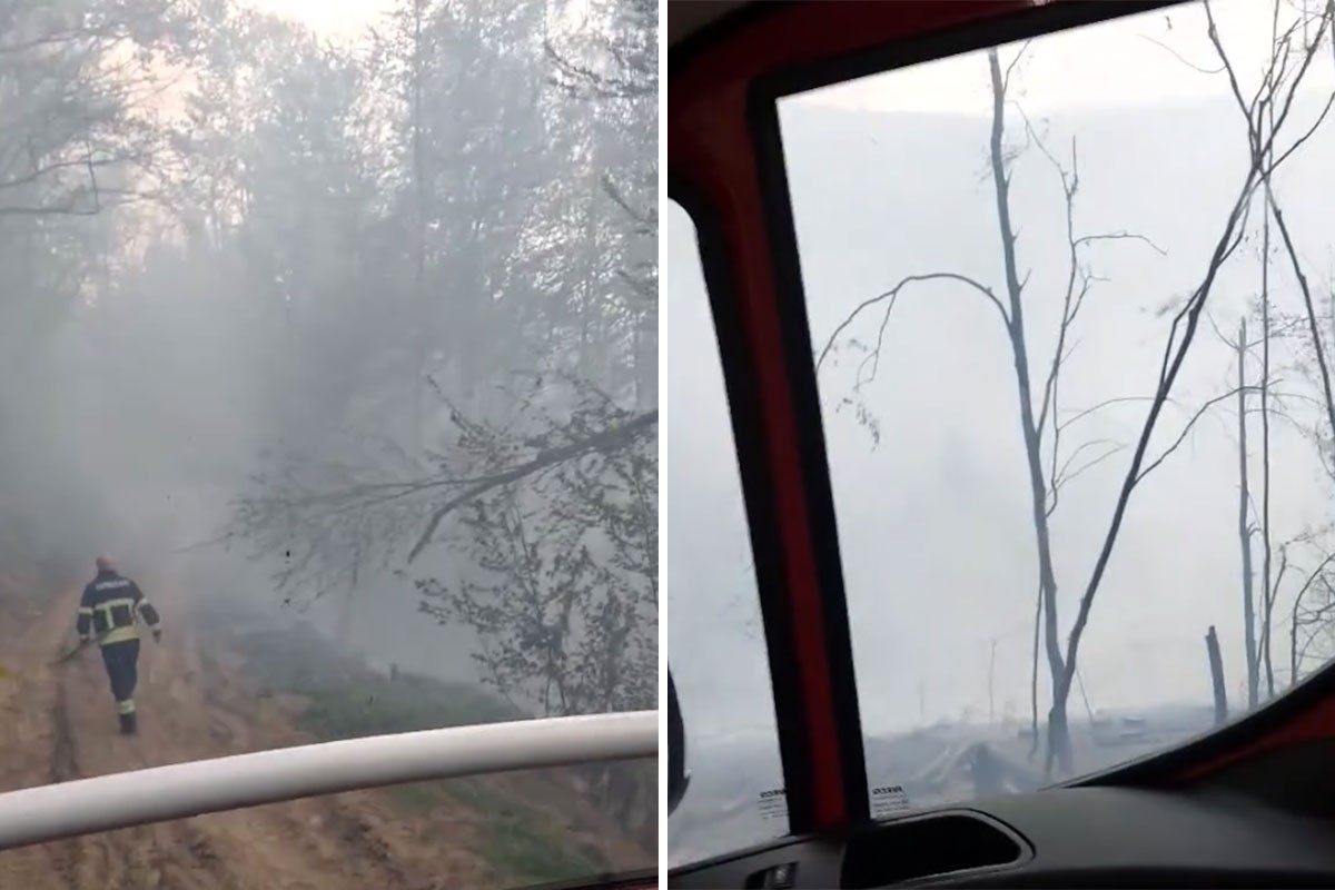 Veliki šumski požar kod Kotor Varoša, jak vjetar otežava vatrogascima (VIDEO)
