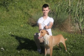 Pas iz BiH najljepši na svijetu (VIDEO)