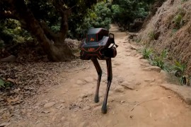 Kinezi pustili robota u šumu: Preživio batine i ostao na nogama (VIDEO)