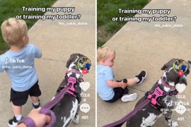 Žena psu u šetnji zadala dvije naredbe, pogledajte šta je uradio njen sin (VIDEO)