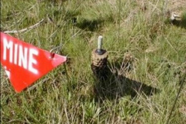 Lopovi ukrali mine iz minskog polja