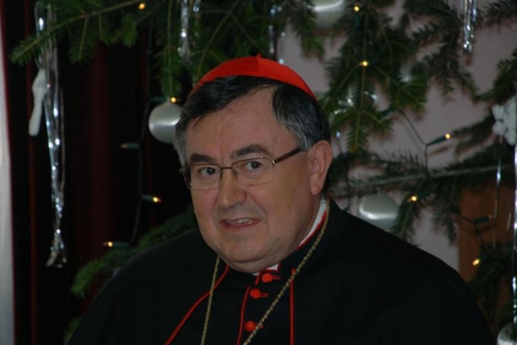 Kardinal Puljić zabrinut zbog rastuće islamizacije u BiH