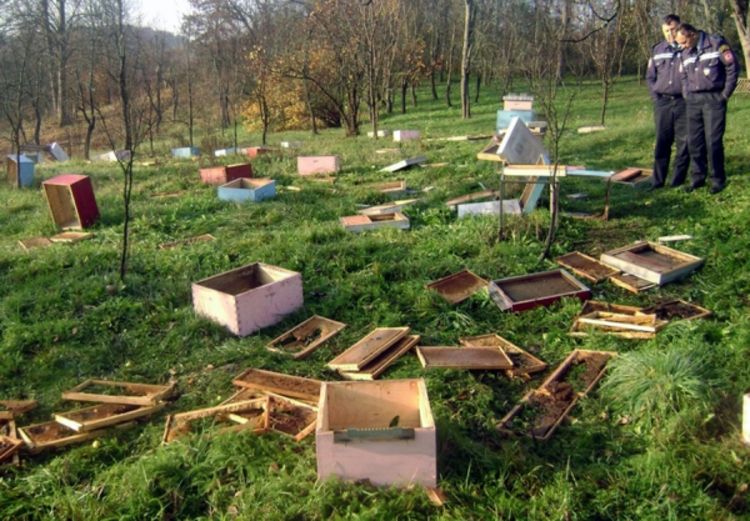 Pčelarstvo ugroženo u Čelincu
