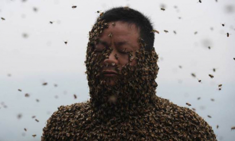 Prekrio tijelo sa 460.000 pčela