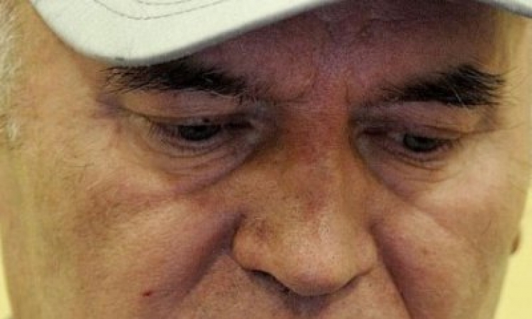 Odluka u predmetu Ratka Mladića