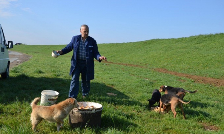 Muharem Mujagić već 12 godina hrani napuštene pse iako su ga tukli i prijetili mu