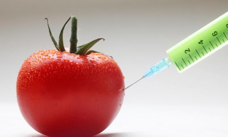 Kako prepoznati genetski modifikovanu hranu?